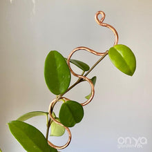 Load image into Gallery viewer, Copper Plant Stick - Indoor Plant Support Stake - Choose from 16 Options-Plant Stick-On Ya Garden
