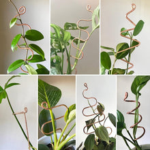 Load image into Gallery viewer, Copper Plant Stick - Indoor Plant Support Stake - Choose from 16 Options-Plant Stick-On Ya Garden
