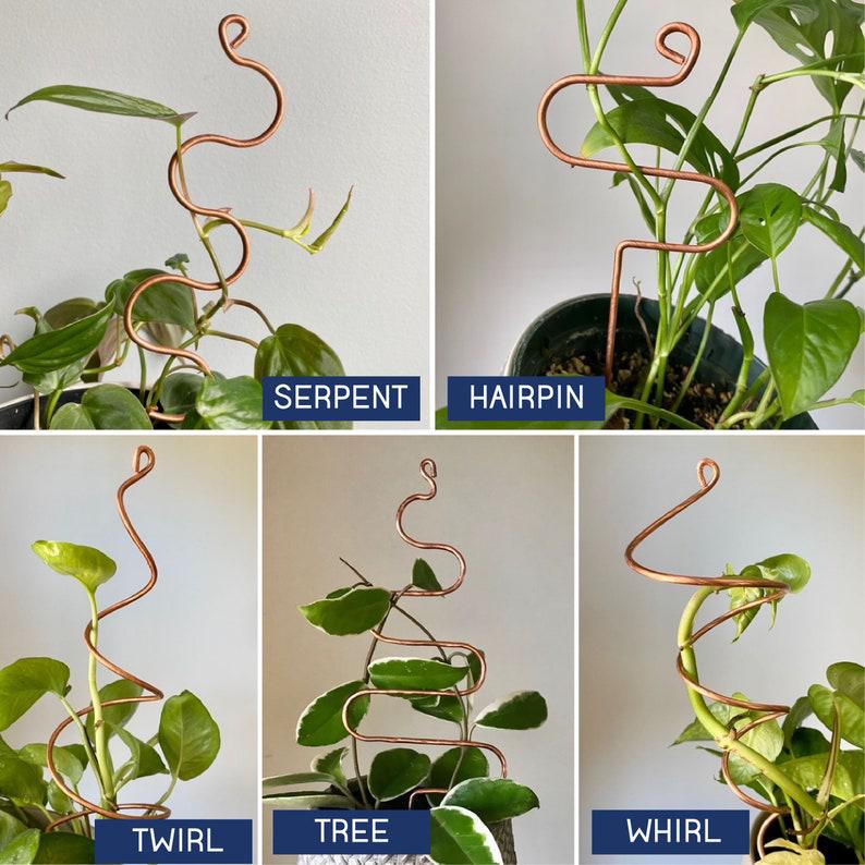 Copper and Steel Plant Sticks | Houseplant Stem Supports  On Ya Garden