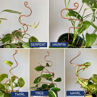 Copper Plant Stick - Indoor Plant Support Stake - Choose from 16 Options-Plant Stick-On Ya Garden