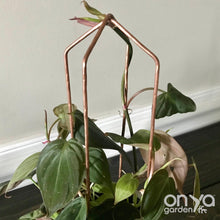 Load image into Gallery viewer, Copper Pointed Arch Trellis for House Plants- 3 Sizes Available-Trellis-On Ya Garden
