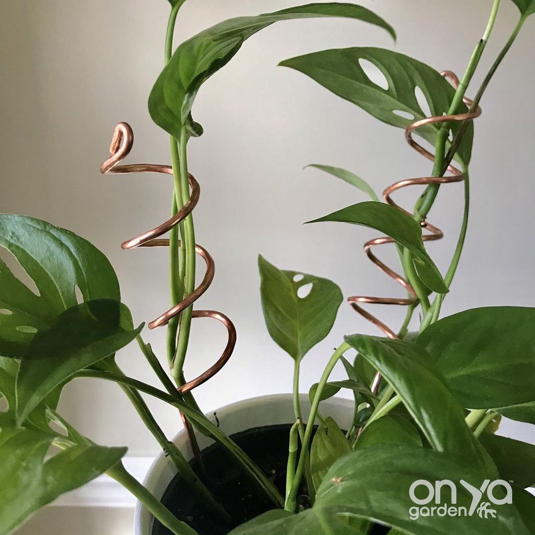 Copper Spiral Indoor Plant Sticks - Set of 2-Plant Stick-On Ya Garden