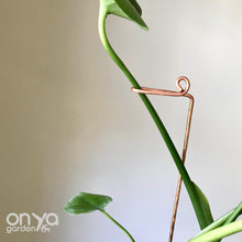 Load image into Gallery viewer, Copper Swizzle Indoor Plant Stick-Plant Stick-On Ya Garden
