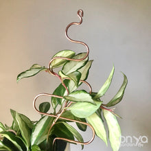 Load image into Gallery viewer, Copper Tree Indoor Plant Stick - Stem Supporter for Houseplants-Plant Stick-On Ya Garden
