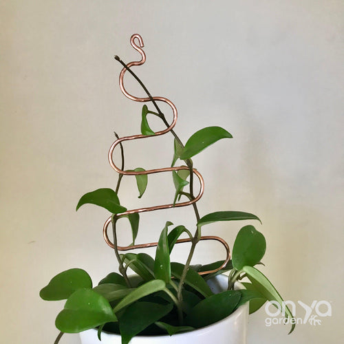 Copper Tree Indoor Plant Stick - Stem Supporter for Houseplants-Plant Stick-On Ya Garden