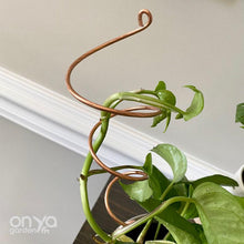 Load image into Gallery viewer, Copper Twirl and Whirl Plant Sticks - Unique Plant Stakes for Indoor Plants-Plant Stick-On Ya Garden
