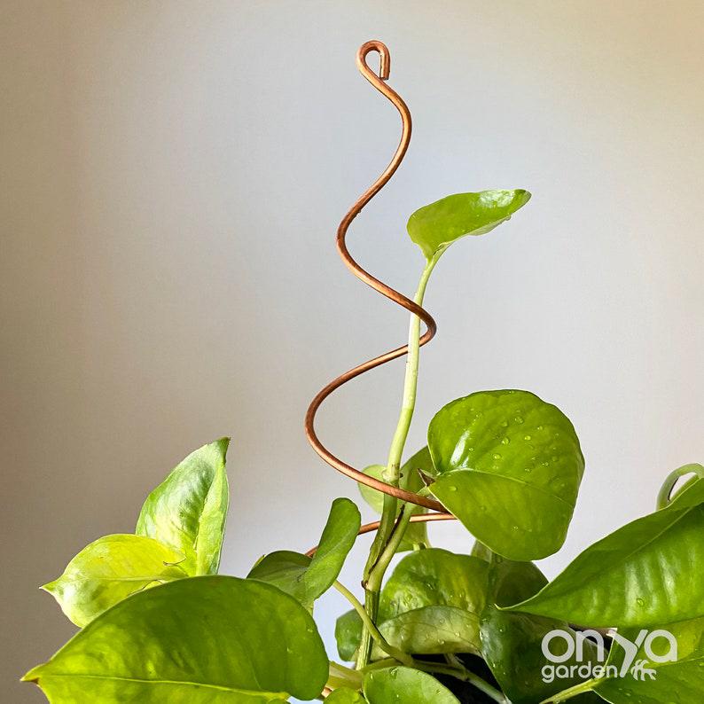 Copper Twirl and Whirl Plant Sticks, Decorative Plant Stakes 1 Copper Twirl