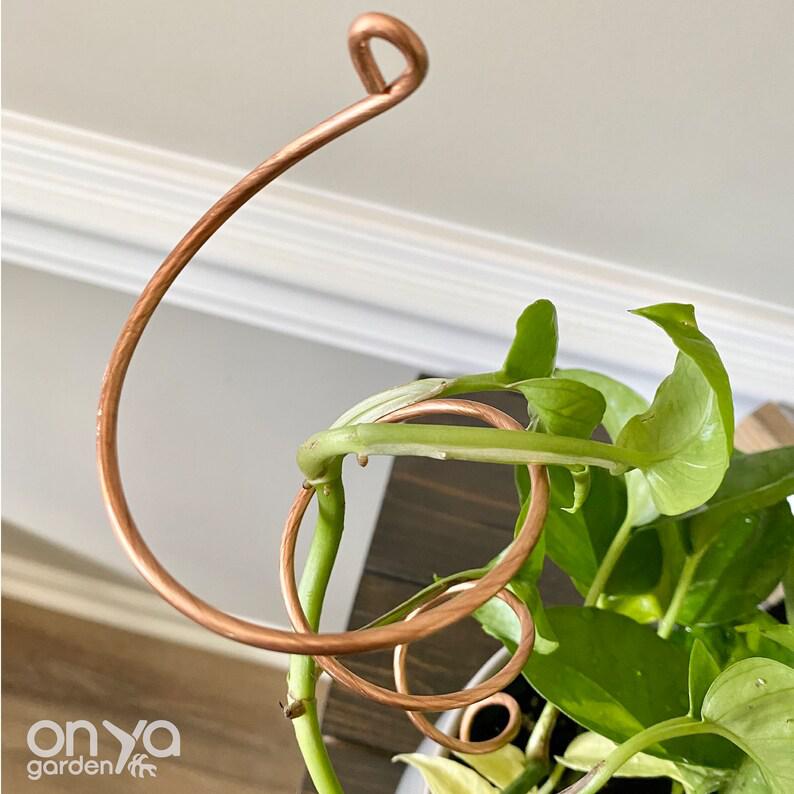 hanging plant stakes Copper Twirl and Whirl Plant Sticks, Decorative Plant Stakes 1 Copper Twirl