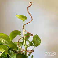 Copper Twirl and Whirl Plant Sticks - Unique Plant Stakes for Indoor Plants-Plant Stick-On Ya Garden