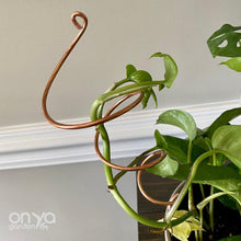 Load image into Gallery viewer, Copper Twirl and Whirl Plant Sticks - Unique Plant Stakes for Indoor Plants-Plant Stick-On Ya Garden
