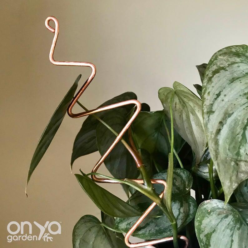 zigzag plant indoor Copper Zig Zag Plant Stick, Plant Support Stake