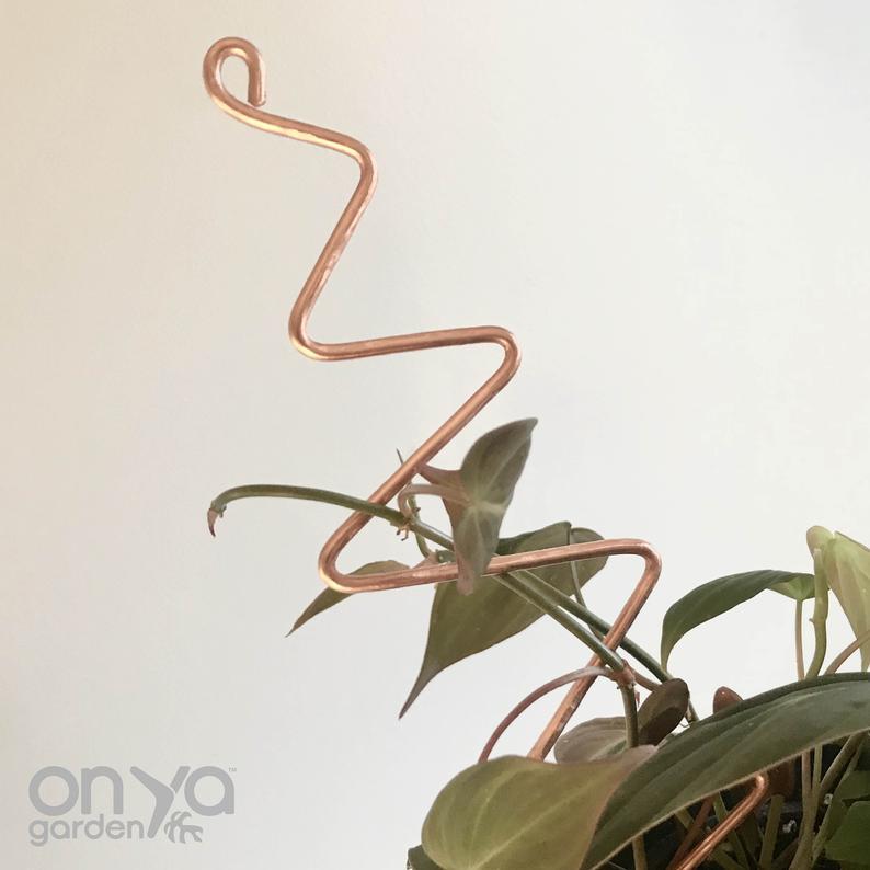 zigzag plant indoor Copper Zig Zag Plant Stick, Plant Support Stake
