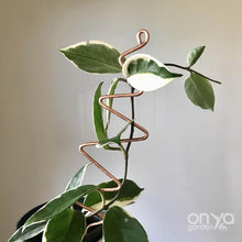 Load image into Gallery viewer, Copper Zig Zag Indoor Plant Stick - Stem Supporter for Hoyas-Plant Stick-On Ya Garden
