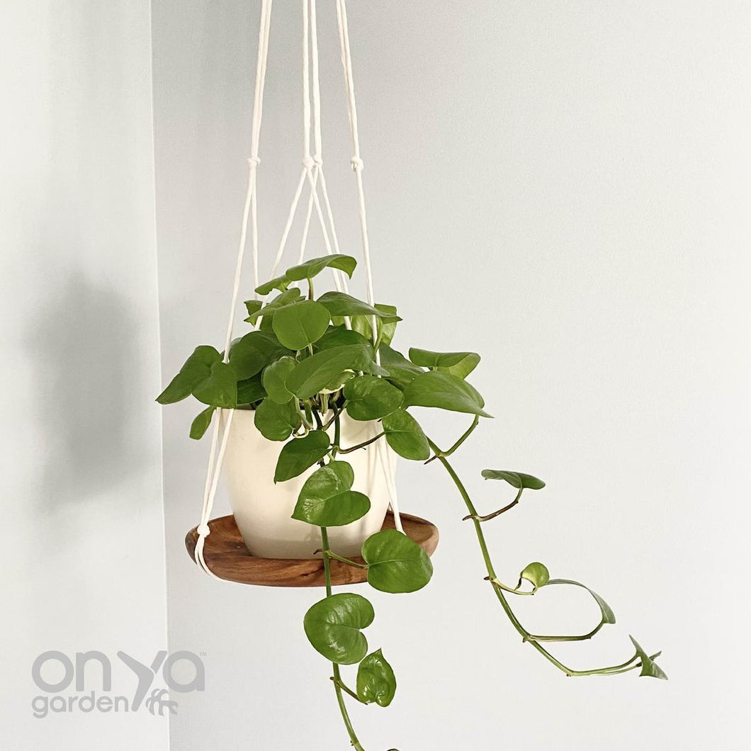 Modern Macramé 8