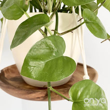 Load image into Gallery viewer, Modern Macramé 8&quot; Round Hanging Plant Shelf
