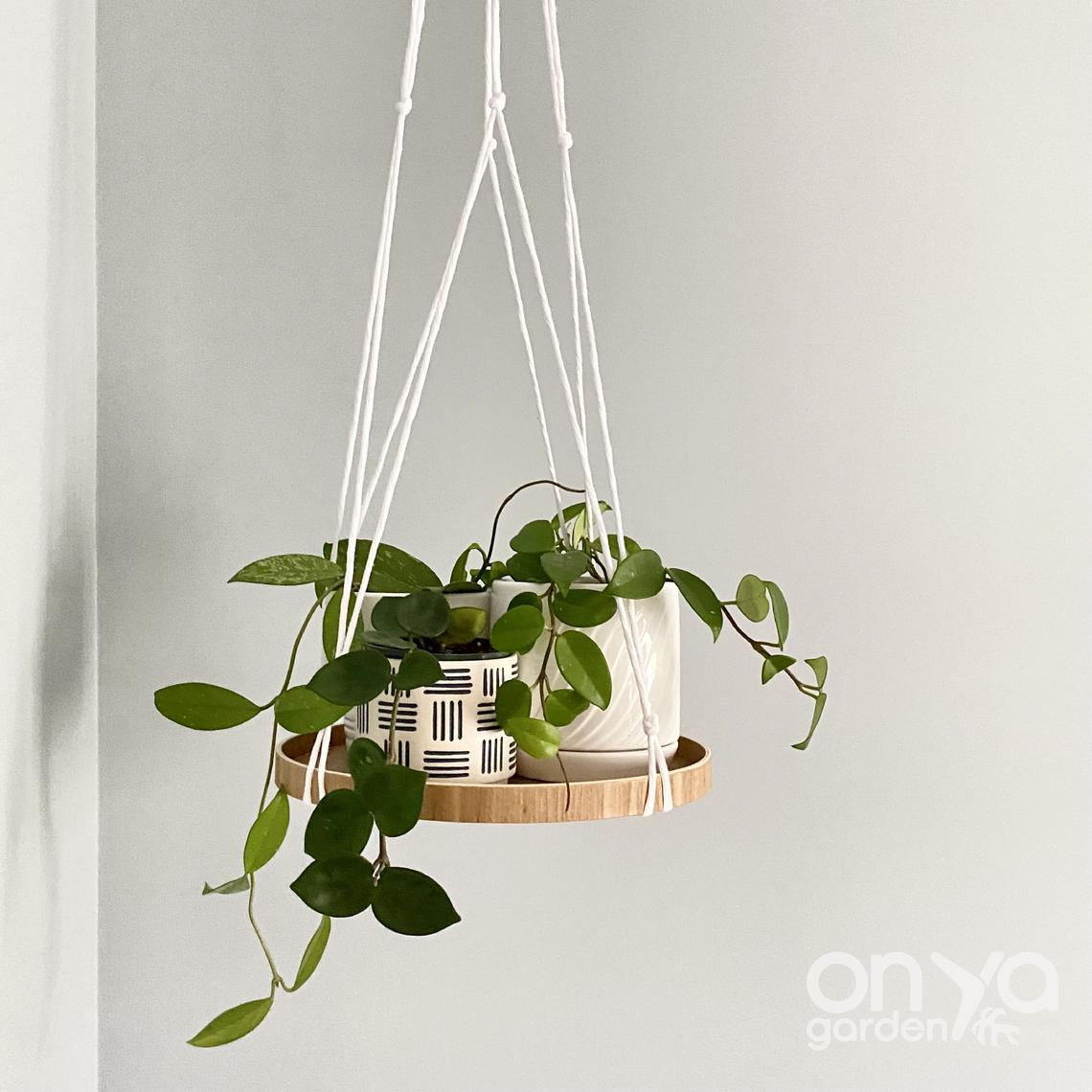 hanging planter shelf Modern No-Tail Macramé Hanging Plant Shelf, 12" Round, Hanging Plant Tray Navy Blue