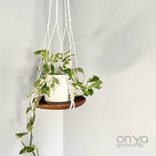 Load image into Gallery viewer, Modern Macramé 8&quot; Round Hanging Plant Shelf
