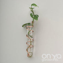 Load image into Gallery viewer, Copper Spiral Propagation Hanger - Propagation Station for Plant Cuttings
