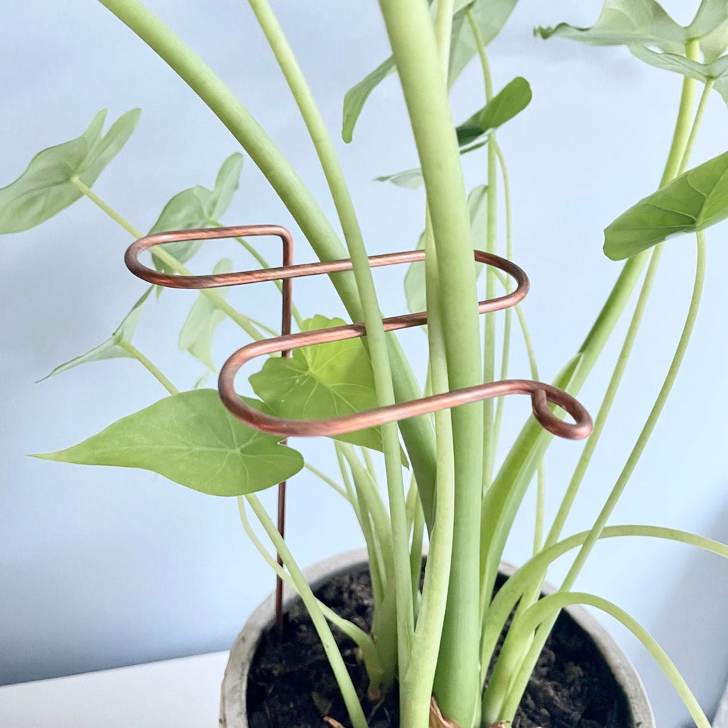 Antenna Plant Stick, Decorative Copper Plant Stake, 3 Lengths