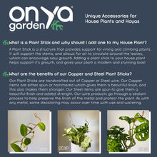 Load image into Gallery viewer, Copper Wide Curl Plant Stick, Base Trellis Plant Stake
