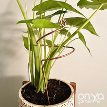 Load image into Gallery viewer, Wide Curl Plant Stick, Copper Decorative Plant Stake
