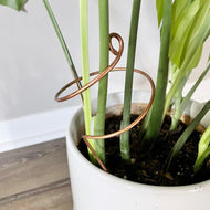 Copper Wide Curl Plant Stick, Base Trellis Plant Support