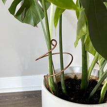 Load image into Gallery viewer, Wide Curl Plant Stick, Copper Decorative Plant Stake
