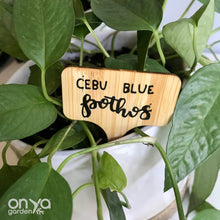 Load image into Gallery viewer, Hand Lettered Custom Plant Label Name Tags
