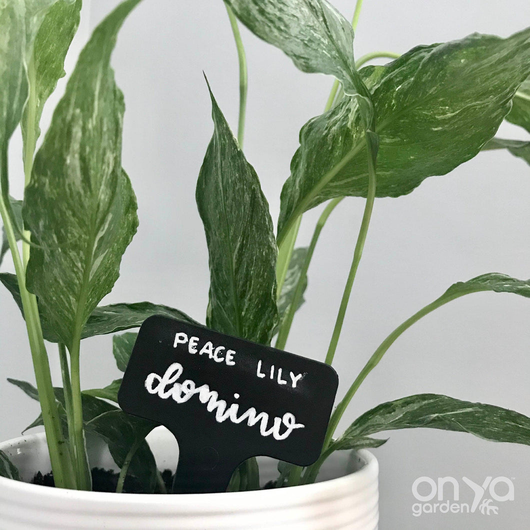 Hand Lettered Custom Plant Label Name Tags