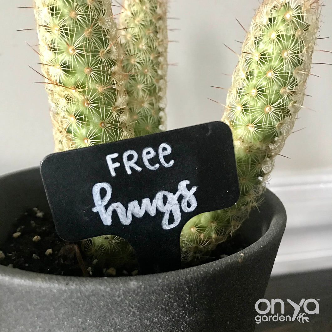 Funny Plant Labels - Set of 5 Cactus and Succulent Plant Markers
