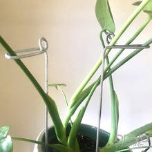 Load image into Gallery viewer, Steel Swizzle Stick, Decorative Plant Stake for House Plants
