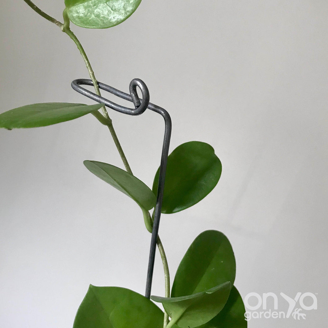 Steel Swizzle Stick, Decorative Plant Stake for House Plants