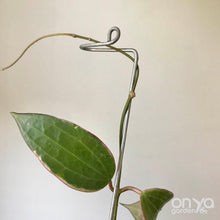 Load image into Gallery viewer, Steel Swizzle Stick, Decorative Plant Stake for House Plants
