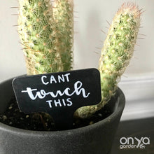 Load image into Gallery viewer, Funny Plant Labels - Set of 5 Cactus and Succulent Plant Markers
