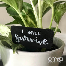 Load image into Gallery viewer, Funny Plant Labels - Set of 5 Houseplant Markers
