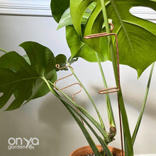 Load image into Gallery viewer, Large Copper Indoor Plant Sticks - Long Stem Supporters for Houseplants-Plant Stick-On Ya Garden

