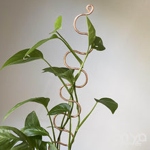 Load image into Gallery viewer, Large Copper Indoor Plant Sticks - Long Stem Supporters for Houseplants-Plant Stick-On Ya Garden
