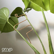 Large Copper Indoor Plant Sticks - Long Stem Supporters for Houseplants-Plant Stick-On Ya Garden