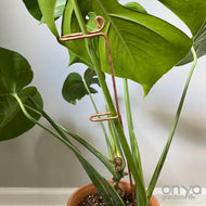 Large Copper Indoor Plant Sticks - Long Stem Supporters for Houseplants-Plant Stick-On Ya Garden
