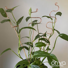 Load image into Gallery viewer, Large Copper Indoor Plant Sticks - Long Stem Supporters for Houseplants-Plant Stick-On Ya Garden
