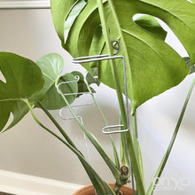 Load image into Gallery viewer, Large Steel Plant Sticks - Long Stem Supporters for Indoor Houseplants-Plant Stick-On Ya Garden
