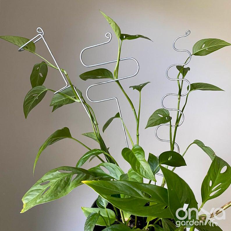 long stem plants indoor Steel Large Modern Plant Sticks, Long Plant Stakes Set of 3