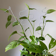 Large Steel Plant Sticks - Long Stem Supporters for Indoor Houseplants-Plant Stick-On Ya Garden