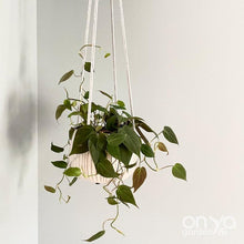 Load image into Gallery viewer, Long 44&quot; Length Modern No-Tail Macrame Plant Hanger-Macrame-On Ya Garden
