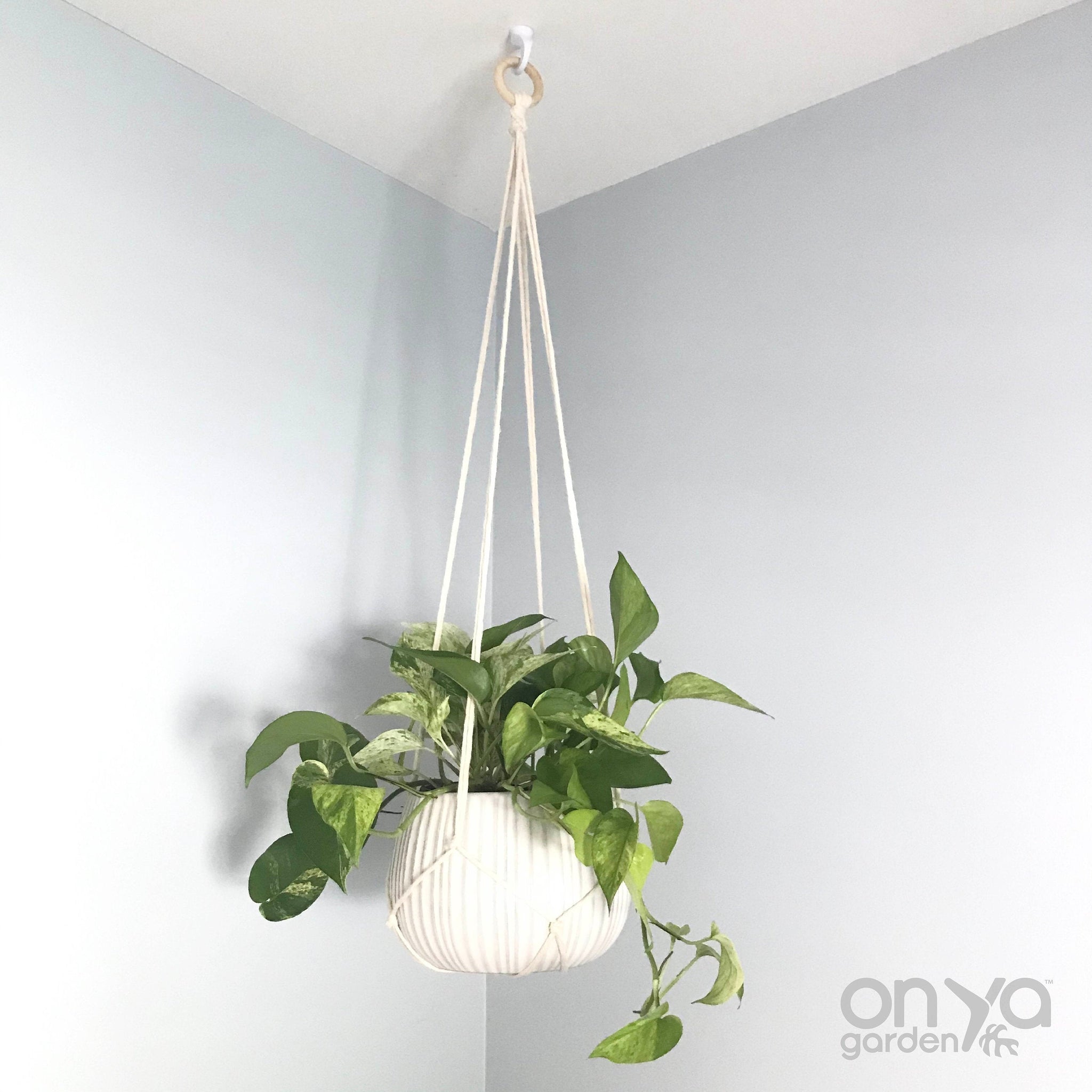 modern macrame plant hanger Modern Macrame No-Tail Plant Hanger, Boho Plant Holder, 3 Lengths – On Ya Garden