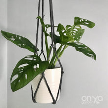 Load image into Gallery viewer, Modern Macrame No-Tail Plant Hanger- 3 Lengths Available-Macrame-On Ya Garden
