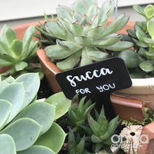 Load image into Gallery viewer, Funny Plant Labels - Set of 5 Cactus and Succulent Plant Markers

