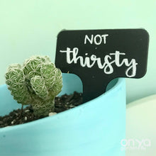 Load image into Gallery viewer, Funny Plant Labels - Set of 5 Cactus and Succulent Plant Markers
