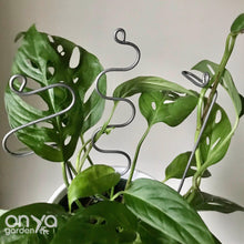 Load image into Gallery viewer, Set of 3 Steel Indoor Plant Sticks - Houseplant Stem Supporters-Plant Stick-On Ya Garden

