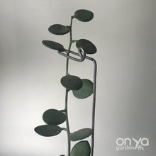 Load image into Gallery viewer, Set of 3 Steel Indoor Plant Sticks - Houseplant Stem Supporters-Plant Stick-On Ya Garden

